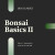 Bonsai Basics II: Styling & Design Workshops for 2026