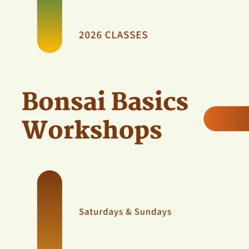 Bonsai Basics All-Inclusive Workshops for 2026