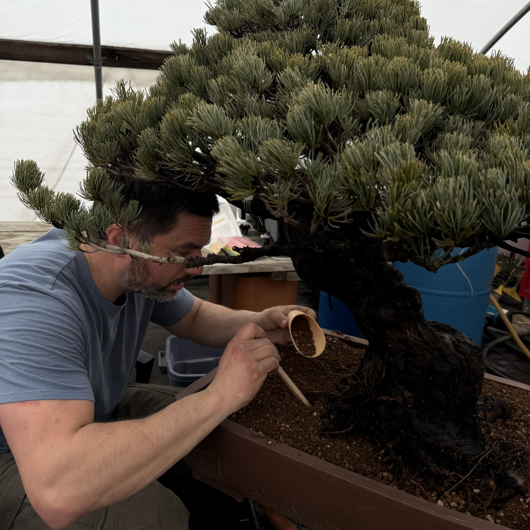 The recovery process