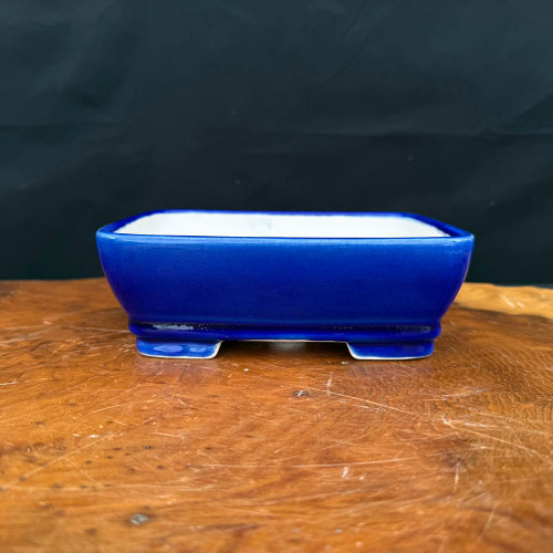 7" Rectangle Blue Glazed-Quality Yixing Bonsai Pot (NEBG. 1864)