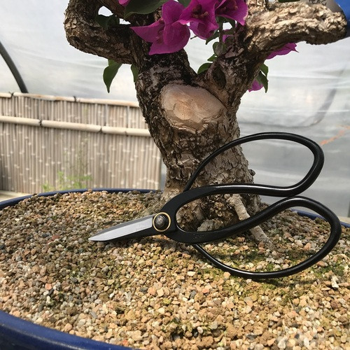 Yoshiaki Large Handle Bonsai Shears (No. A5)
