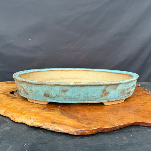 Large Oval Jack Hoover Bonsai Pot – Turquoise Blue Glaze – No. 683