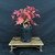 Japanese Maple Bonsai Tree – Vibrant Fall Foliage & Strong Trunk Structure No. 14516