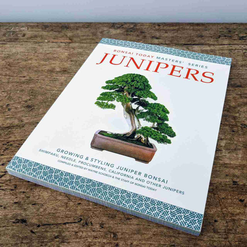 Juniper Masters Series Book