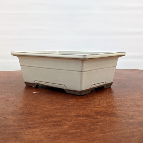 Cream Glazed Rectangle Bonsai Pot