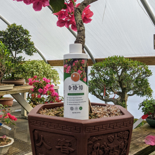 Fall and Winter Fertilizer (0-10-10) - Supports Root Health