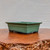 Oribe Glazed Rectangle Bonsai Pot in Light Green