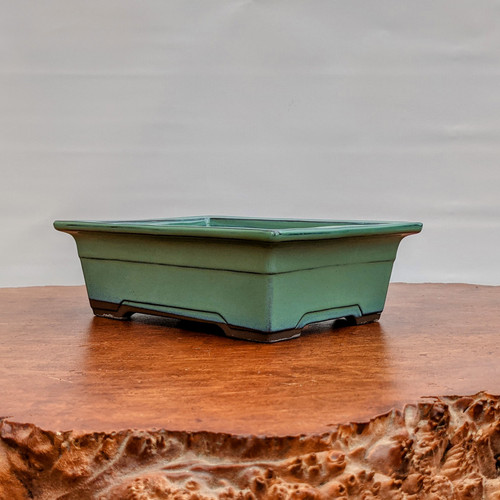 Oribe Glazed Rectangle Bonsai Pot in Light Green