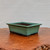 Oribe Glazed Rectangle Bonsai Pot in Light Green