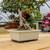 Cream Glazed Rectangle Bonsai Pot