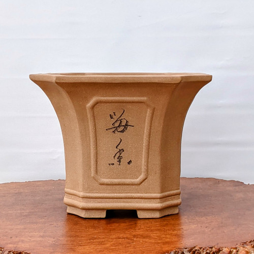 11" Etched Unglazed Yixing Ceramic Pot For Cascade Bonsai (1667)