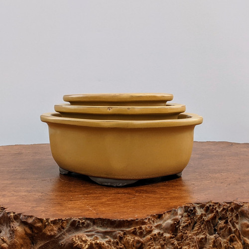 Yellow Glazed Japanese Bonsai Pot