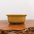 Yellow Glazed Japanese Bonsai Pot