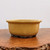 Yellow Glazed Japanese Bonsai Pot