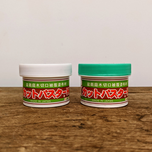 Japanese Cut Paste Kit