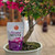 Japanese Flowering Fertilizer for Bonsai in Pellet Form