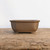 Udei Uglazed Bonsai Pot in Brown