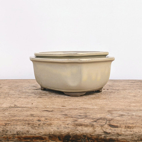 Glazed (cream) Japanese Bonsai Pot
