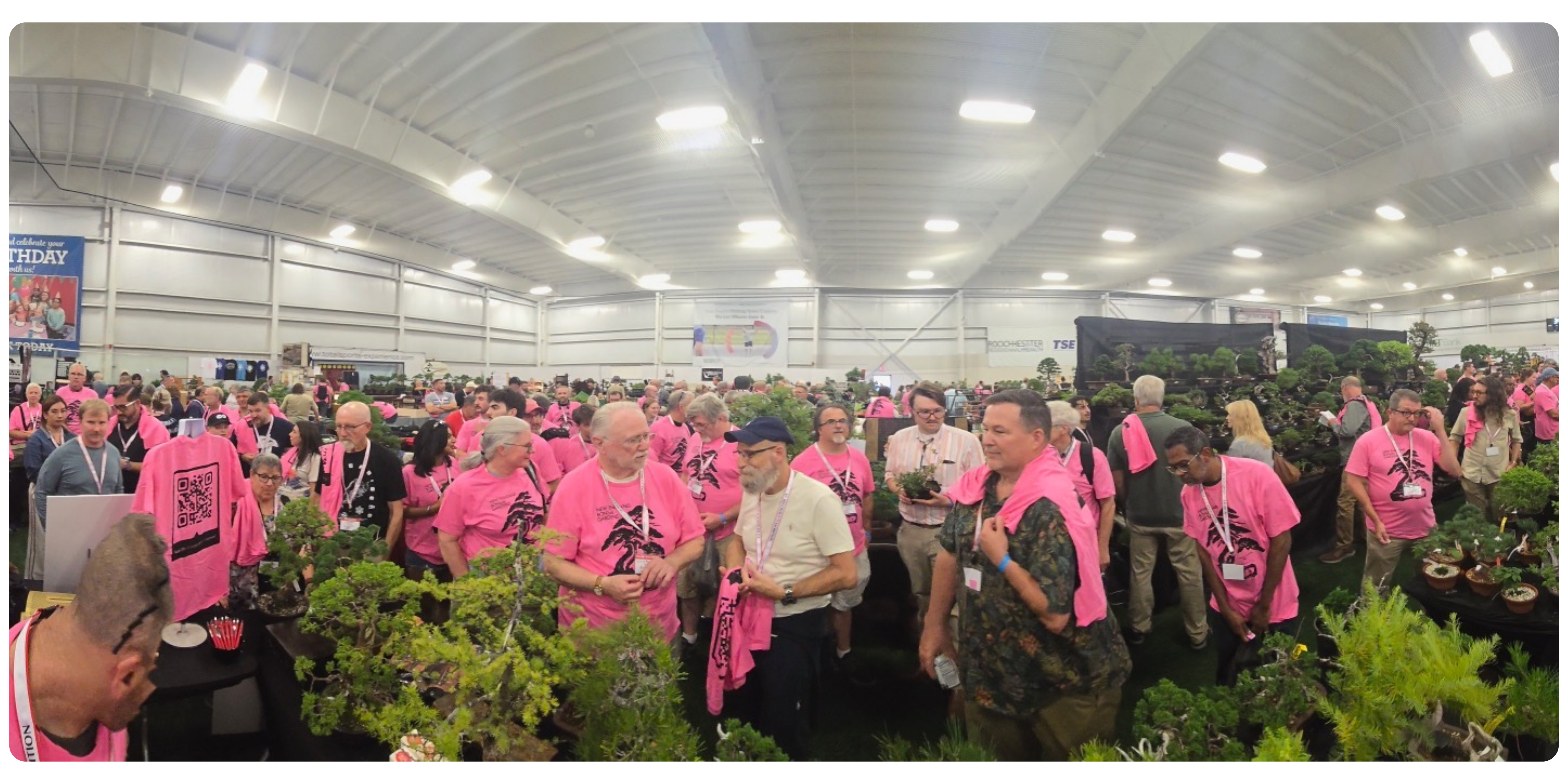 Pink Shirts at the Bonsai Nationals 2025