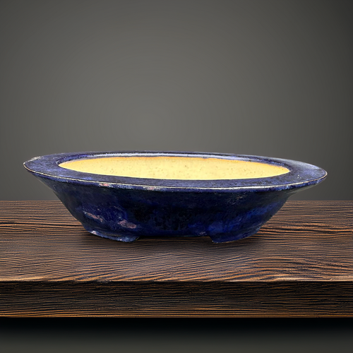 Roy Minarai 7″ Indigo Oval Bonsai Pot – One-of-a-Kind Collector Piece
